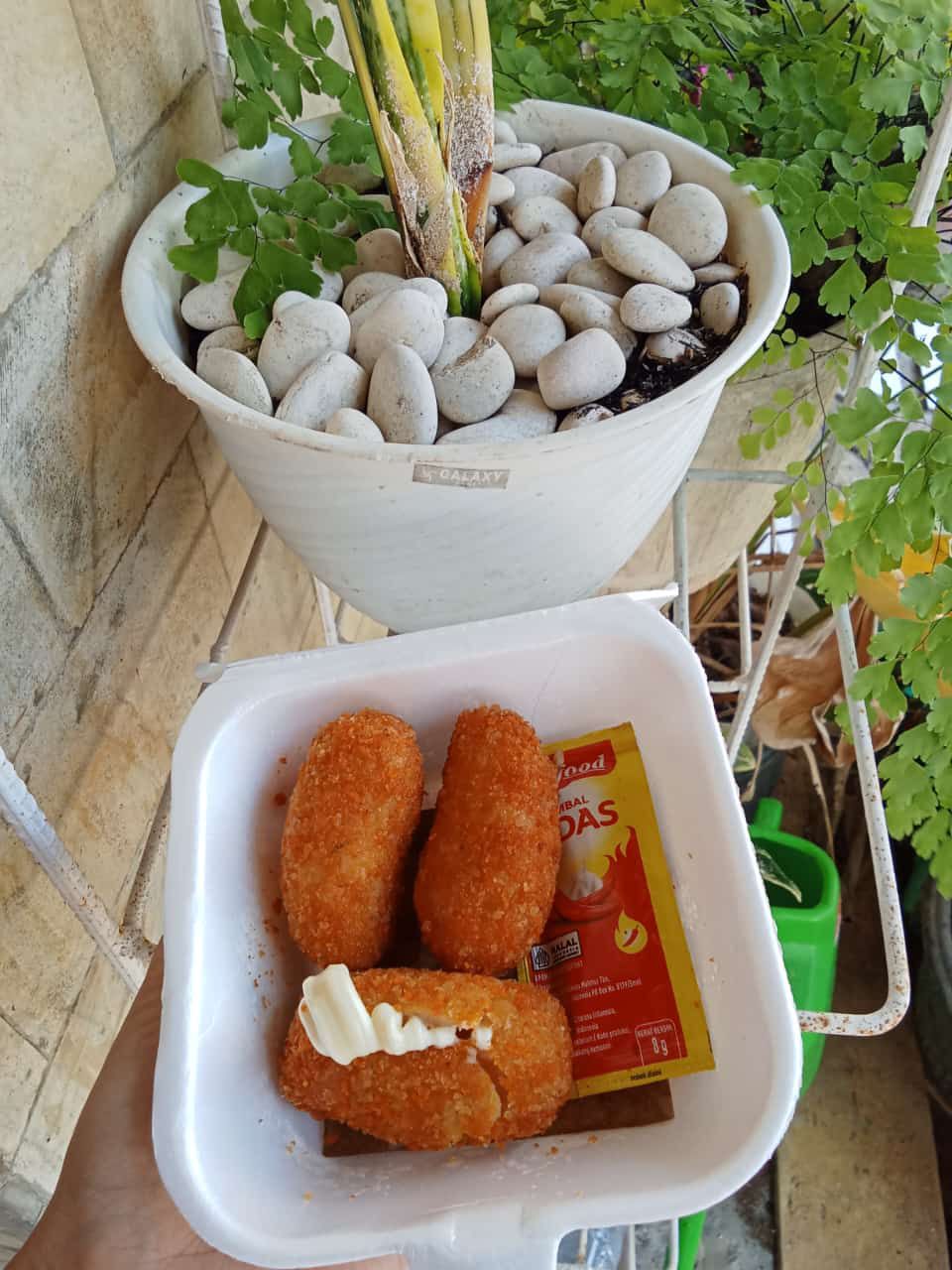 Udang Keju